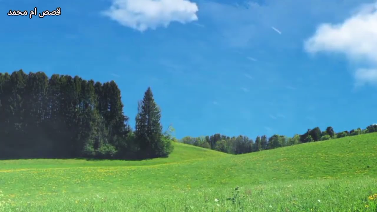 بفضل الله ثم بقيام الليل  تغيرت حياتي وكسبت زوجي 