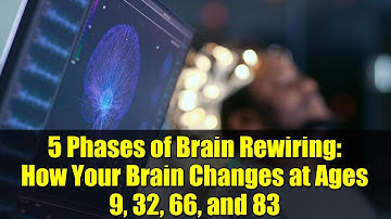 5 Phases of Brain Rewiring: How Your Brain Changes at Ages 9, 32, 66, and 83