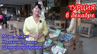 Жизнь русских в ТУРЦИИ. Море и пляжи в декабре. Магазины, рынки. МЫ В ШОКЕ ОТ ЦЕН НА ПРОДУКТЫ!