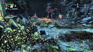 Bloodborne No Respawn Bug