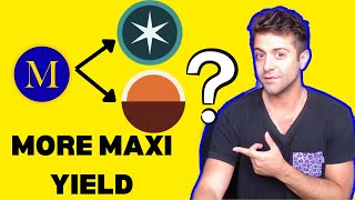 TEAM And BASE Token Demystified - Get The Most Out Of MAXI