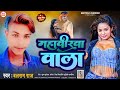    new latest bhojpuri song  balram raj  mahavirwa wala  superhit song 2024 