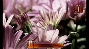 اروع تلاوه للشيخ ناصر الحمد استمع لها الان