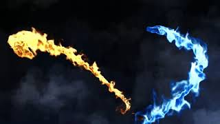 Eagle Intro