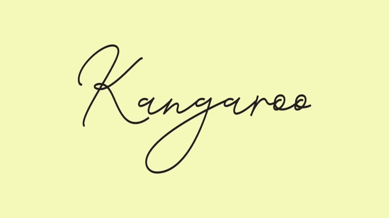 RyFy - Kangaroo (Official Audio)