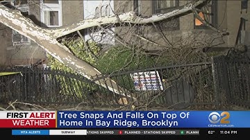 Severe storms featuring high winds cause damage in parts of the Tri-State Area