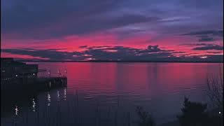 School rooftop   Bird songs (1 hour loop) Nostalgic sunrise