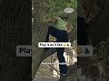 Sergio Garcia climbs a tree to hit a one-handed, backwards shot at the 2013 API.