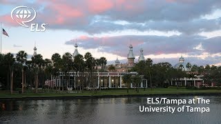 Discover: ELS/Tampa