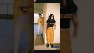 Tere Bina Lagda Nahi Jee Mera Abhinavi Tiktok Video