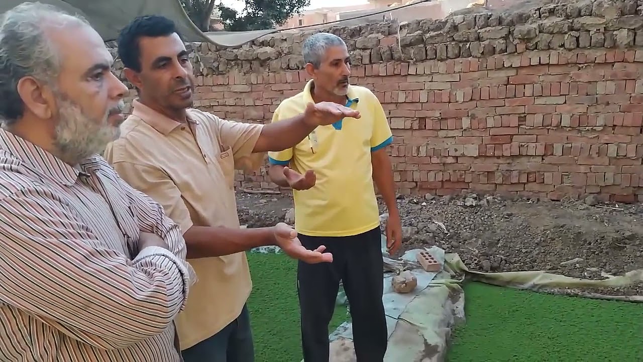 تربية القراميط مع الأزولا... Breeding catfish with azolla YouTube