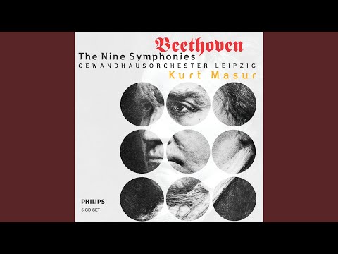 beethoven:-symphony-no.9-in-d-minor,-op.125---"choral"---4.-allegro-assai--