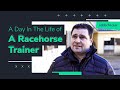 A Day In The Life: Racehorse trainer Peter Fahey on the dream of a Cheltenham Festival winner