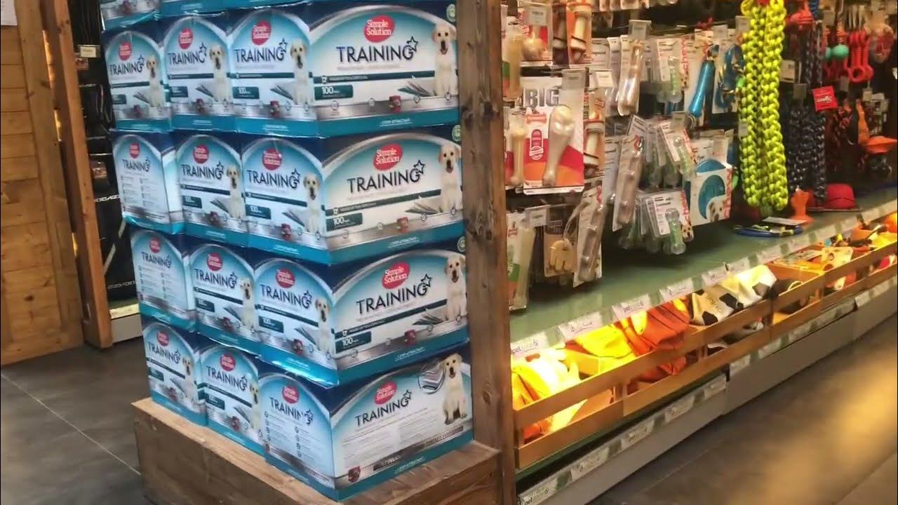 Going to petzone with Rocco shuwaikh Kuwait DoryTrozo TV YouTube