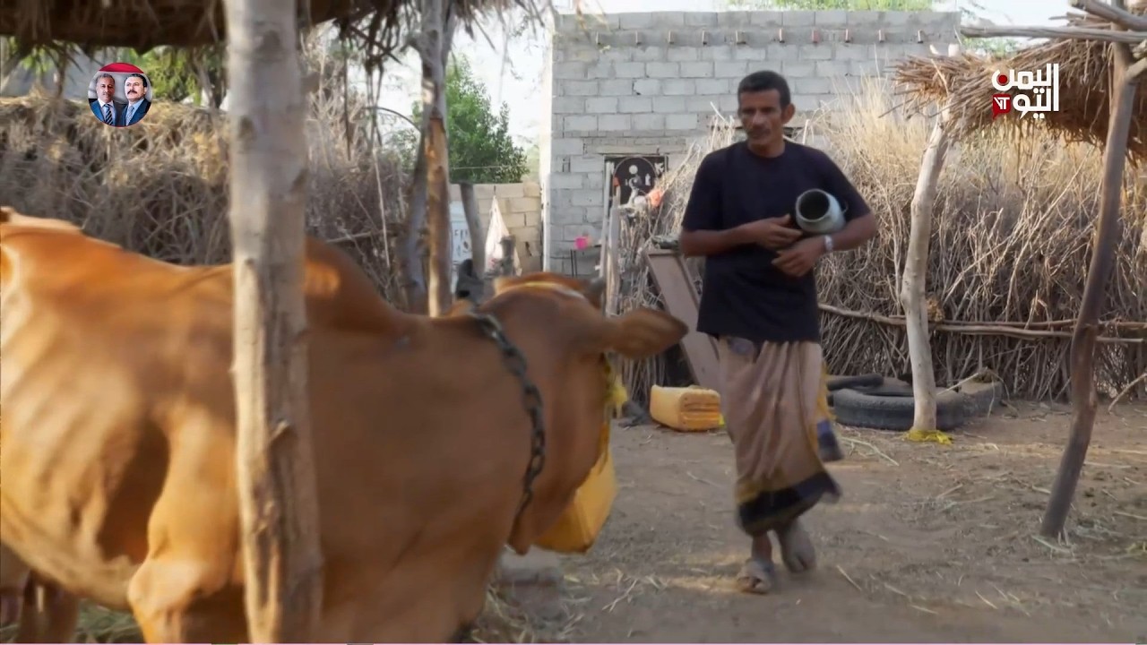 تصاعد الجبايات على الثروة الحيوانية..مالك مزرعة يكشف ثلاث سنوات من الاستنزاف -تقرير:عبد الله الوادعي