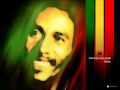 Bob marley  iron lion zion