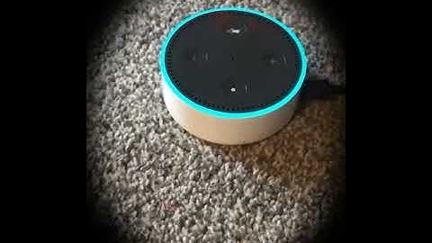 My Alexa self destruct how to make it !!