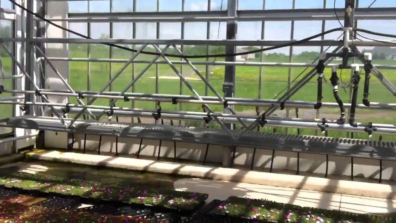 Catoctin mountain growers YouTube