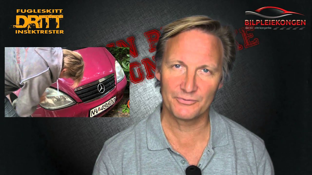 Fugleskitt er noe DRITT, fjerne fugleskitt og insektsrester fra lakk