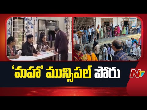 Maharashtra Municipal Corporation Election Voting Updates | NTV Telugu - NTVTELUGU