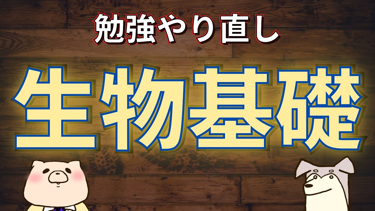 勉強やり直し】生物基礎（勉強やり直しマニュアル ハイレベル編 #009