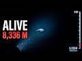 This Fish Lives at the Bottom of the Mariana Trench. It Shouldn't