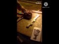 حلات واتس حلقولو يولعو لاجل الحريم صحابي اتجمعواا حلات واتس حلقولو يولعو لاجل الحريم صحابي اتجمعواا