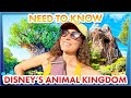 30 disney world tips you must have in animal kingdom