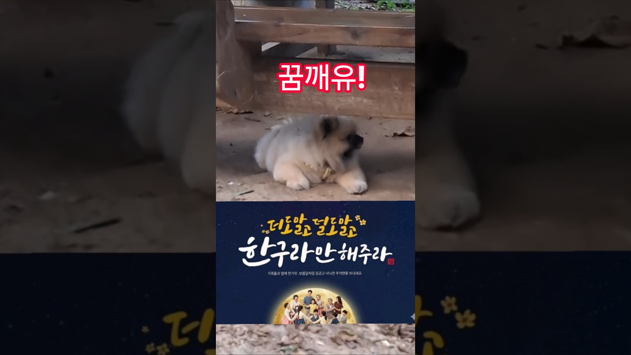 한참 생각하더니~#경마 #말 #달려라말 #shorts