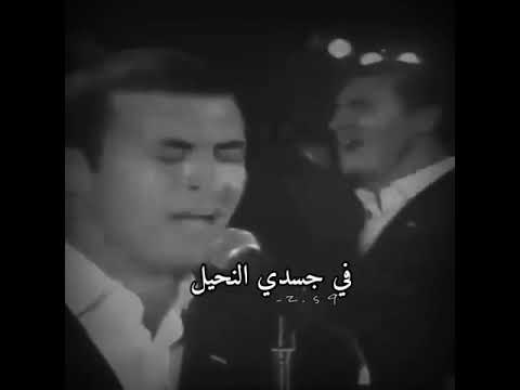 حالات واتس اب صبرا ياعمري لن تري دمعا يسيل كاظم الساهر القيصر حب عشق غرام رومنسيات عراقي 