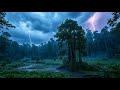 3 HR Dynamic Rain & Thunderstorm Immersion ⛈️💧 | Sleep, Study