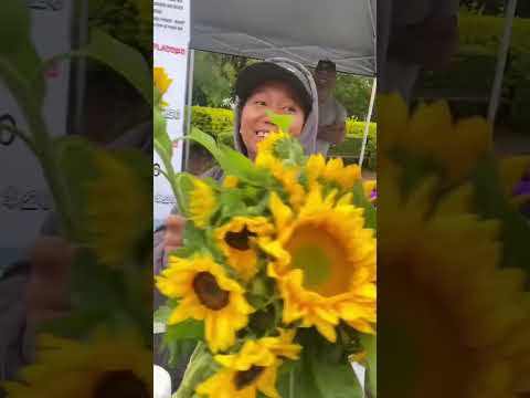 Surprising Random strangers with flowers 🌻 HAPPY MOTHER’S DAY TO ALL MOM’S OUT THERE