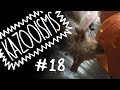 KAZOOISMS #18 - That Shouldn't Be in Your Mouth