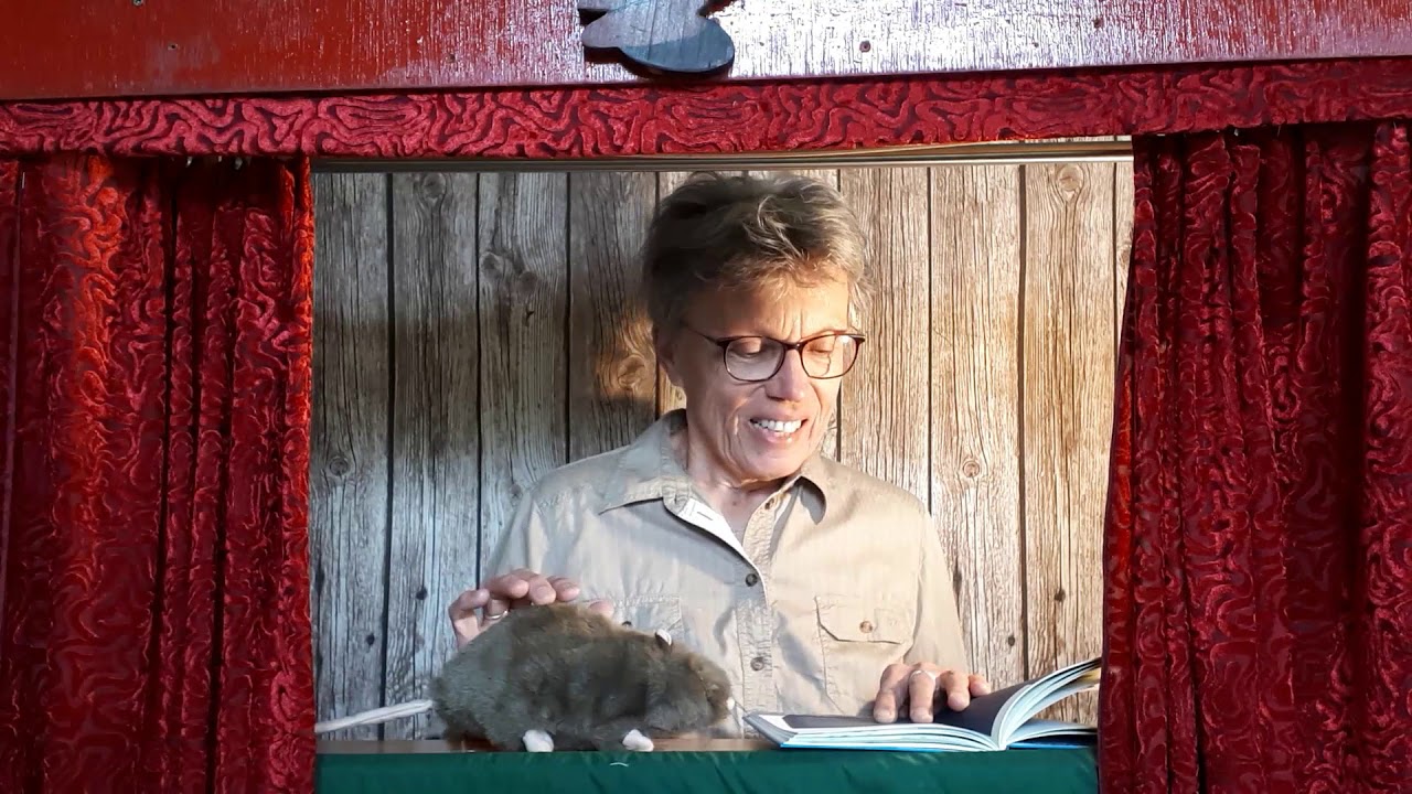 Barbara Hache liest: Bibi Dumon Tak. Die Wanderratte