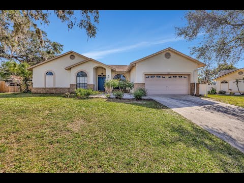 1803 Tawnee Place, Brandon, FL home video tour