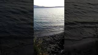 Toklumen Irmak Kenari