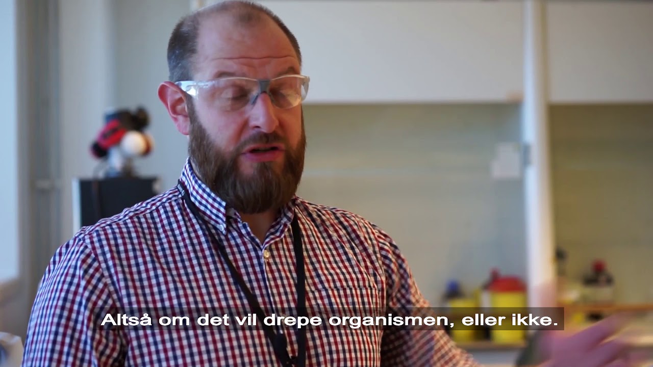 Hvordan påvirker mikroplast naturen