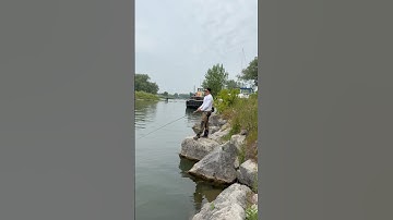 #reels #fyp #viralreels #trending #fishing
