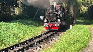 The mushroom line. Rudy Raciborskie, Poland. Friday 13 October 2023. by railwayvideos 74 views 6 months ago 7 minutes, 20 seconds