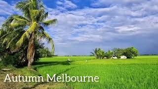 Autumn Melbourne Instrumental
