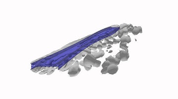 Tacoma Narrows Bridge Aeroelastic FSI Simulation
