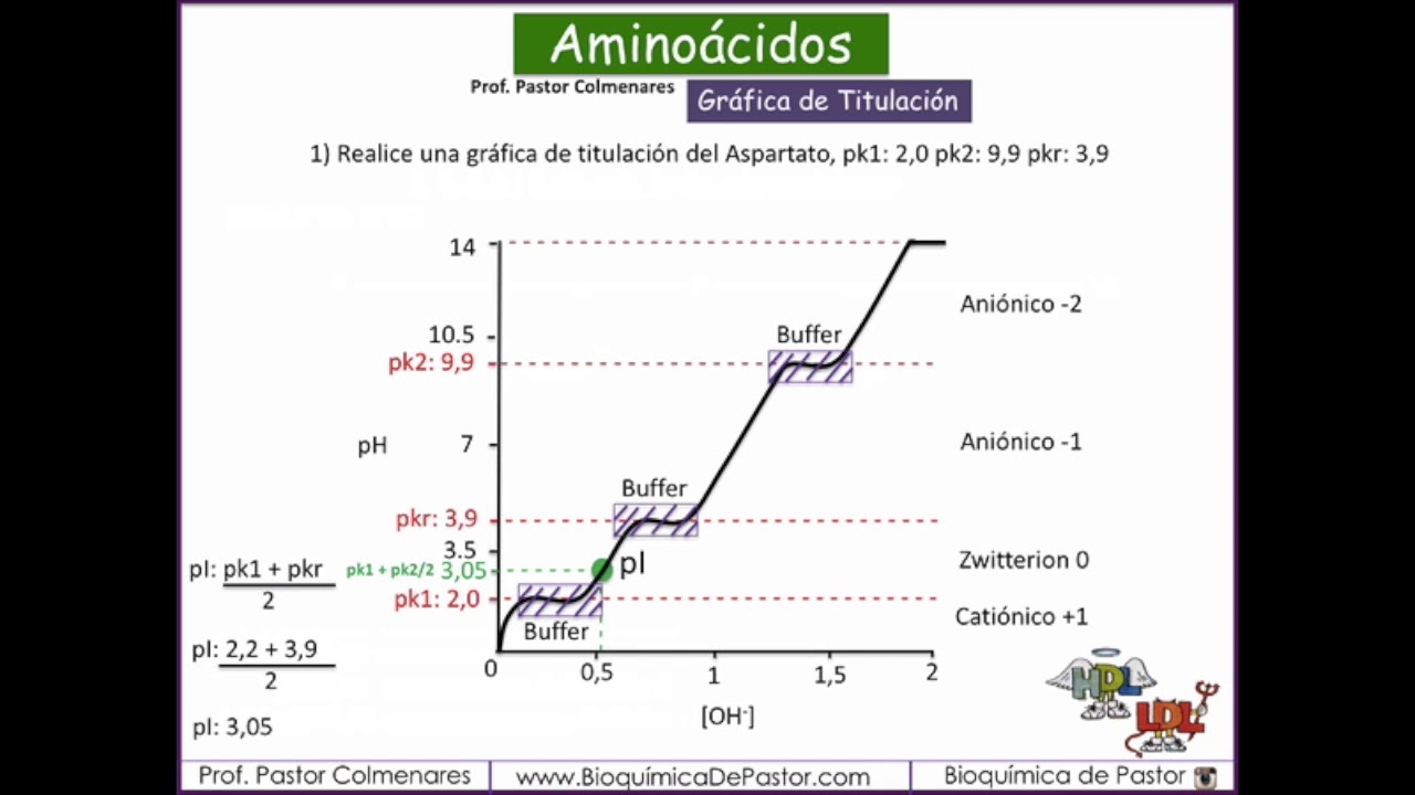 Gráfica de titulación del Aspartato - Parte VII - YouTube