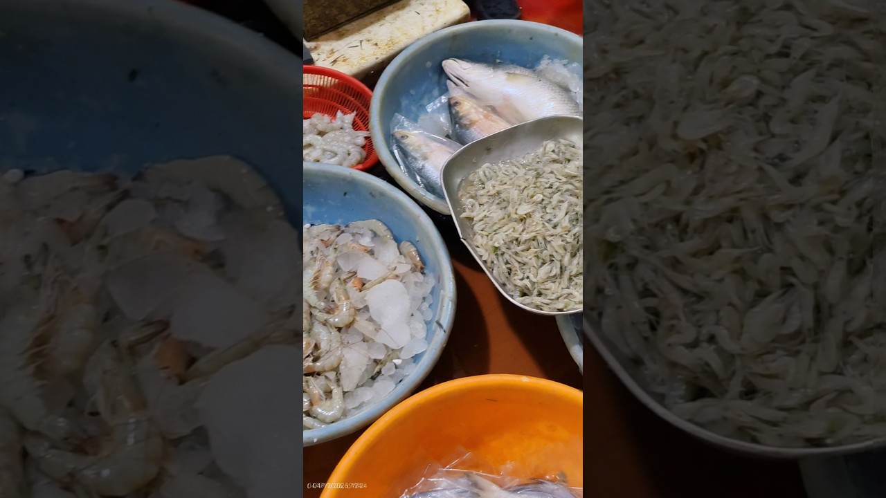 Lucknow Fish Market Tour 🐟 + Fresh Fish Curry Recipe | Street to Kitchen 🍛