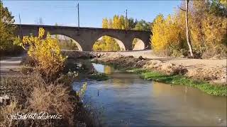 Malatya Beylerderesinde Sürü Güzelliği Muhteşem Su Ve Gazel Eşliğinde