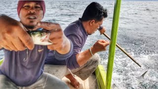 MANCING IKAN TENGGIRI|| TEKNIK TONDA² UMPAN HIDUP RANGKAIAN 4 MATA PANCING