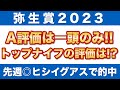 【弥生賞ディープインパクト記念2023 予想】ラップ適性A評価は一頭のみ！トップナイフの評価は！？