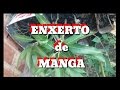 Como fazer enxerto de manga