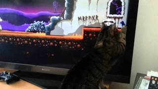 Volgarr the Viking. Nola hunting zombie bird. screenshot 4