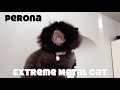 Extreme Metal Cat
