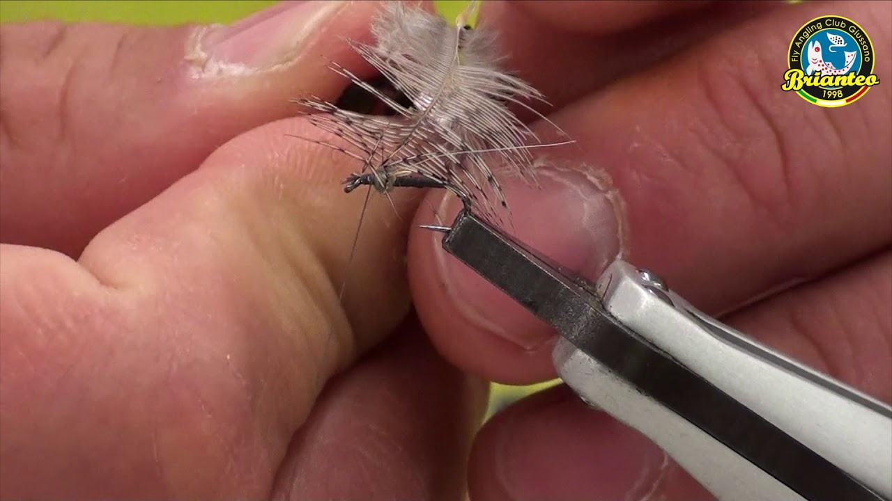 Serata con Marco Della Noce